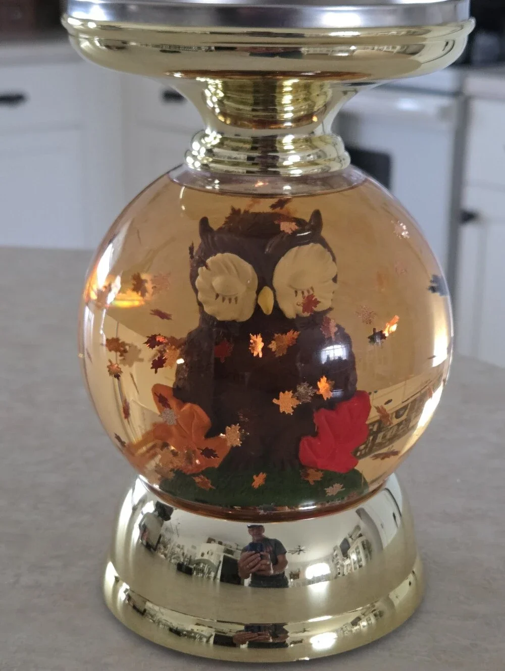 Bath&Body Works Forest Friends Owl Water Globe Candle Holder Lights Up